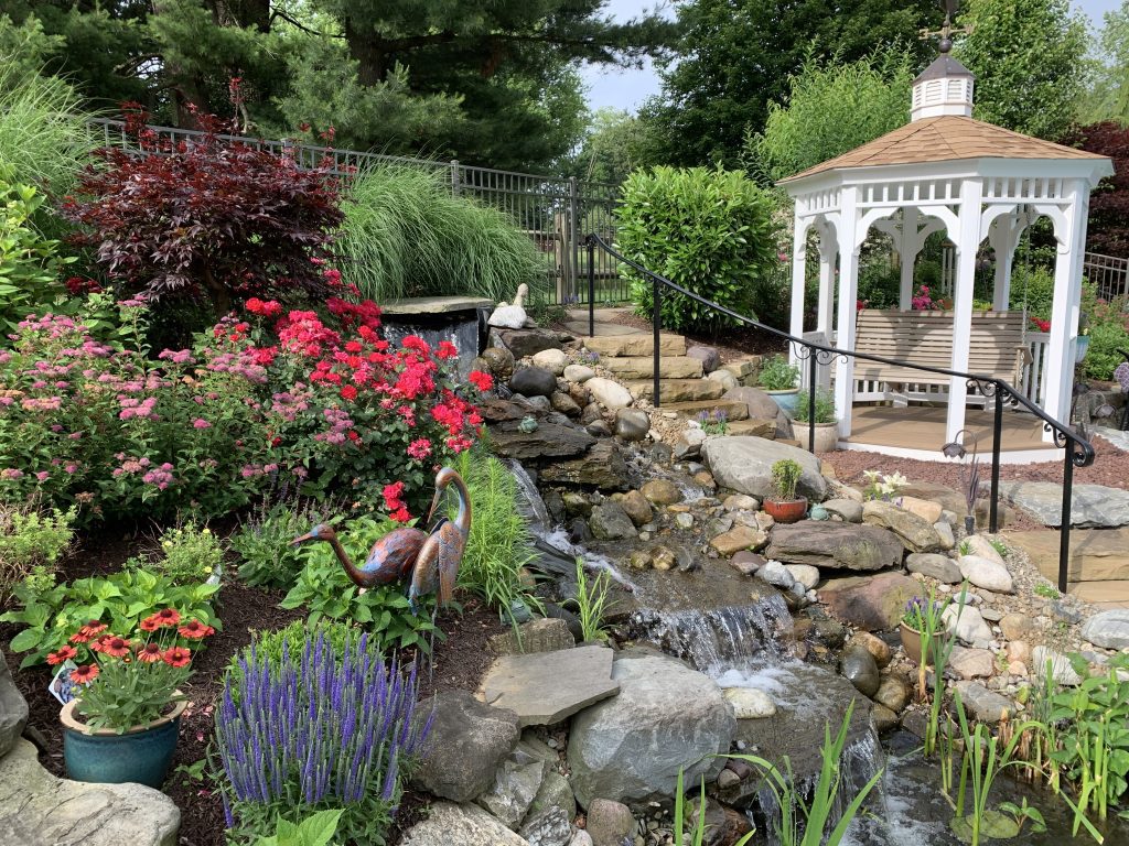 Backyard Paradise