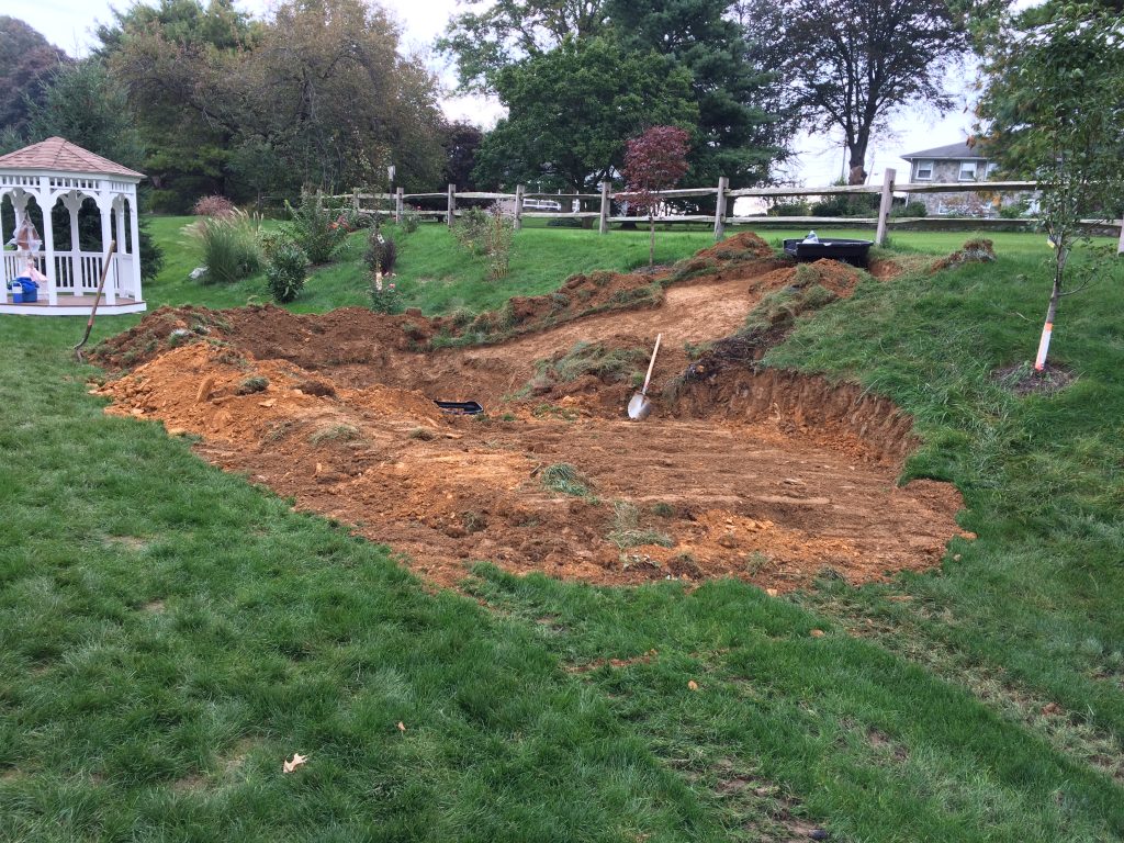 Backyard Paradise Before