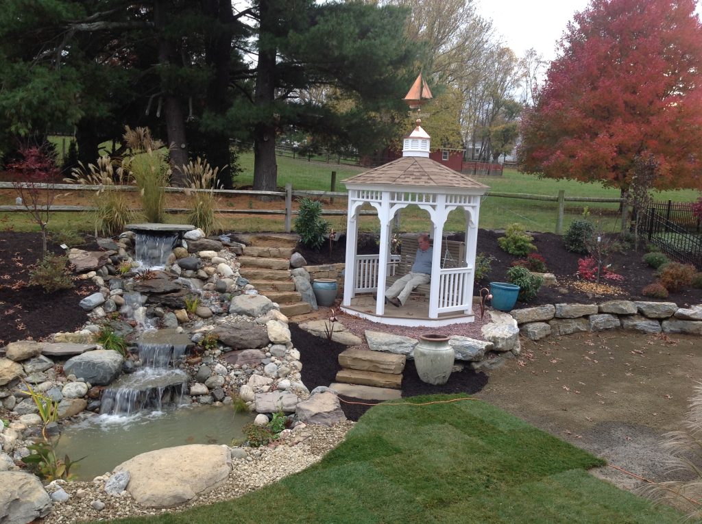 Backyard Paradise In Progress 2