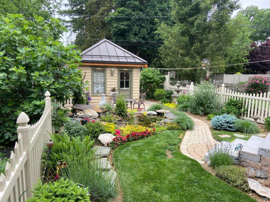 Backyard Pond