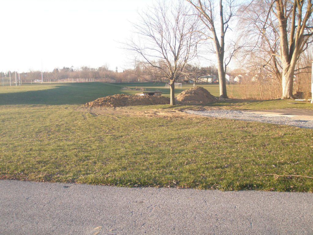 Boulders and Trees Before