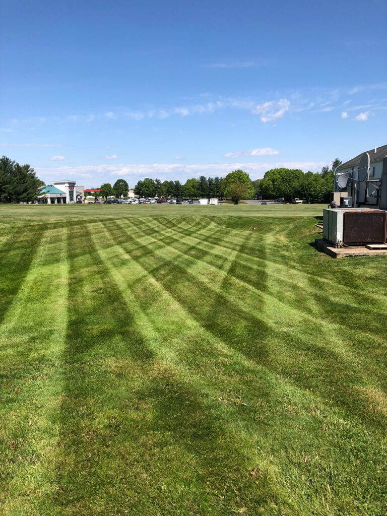 Commercial Mowing 4