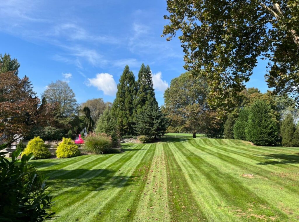 Commercial Mowing 5