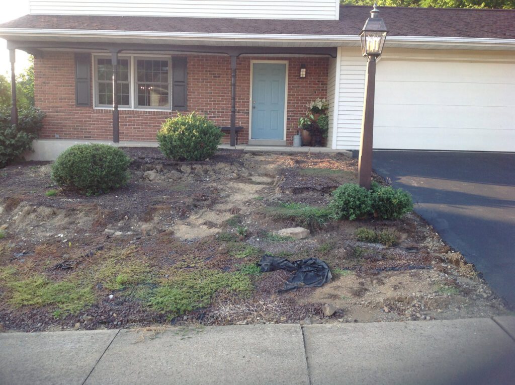 Front Yard Before