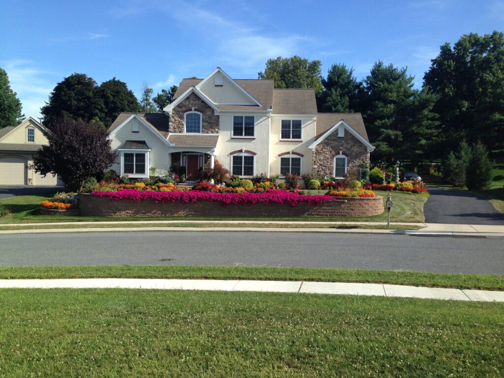 Front Yard Makeover After