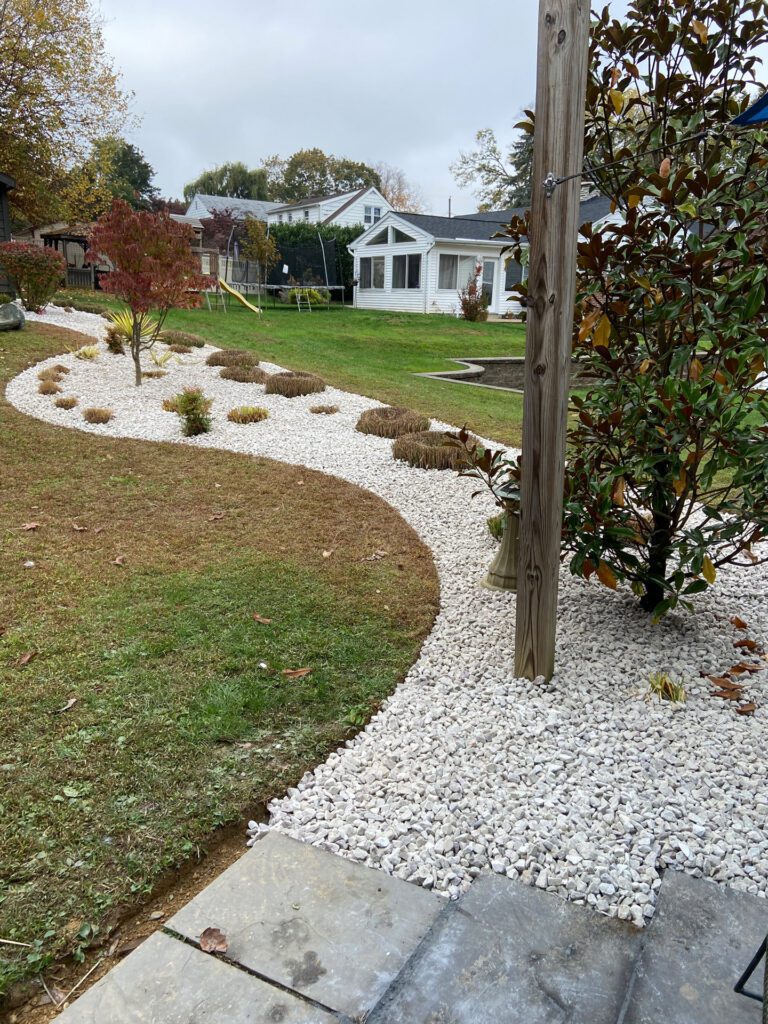 Grasses and Stone After