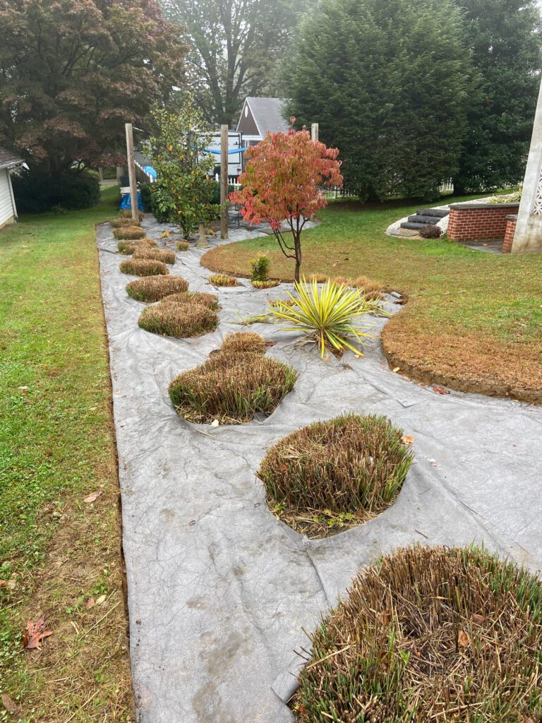 Grasses and Stone Before