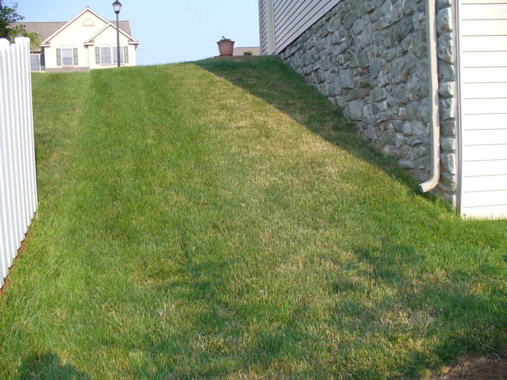 Hill Steps Before