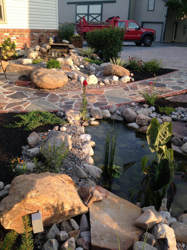 Pond After