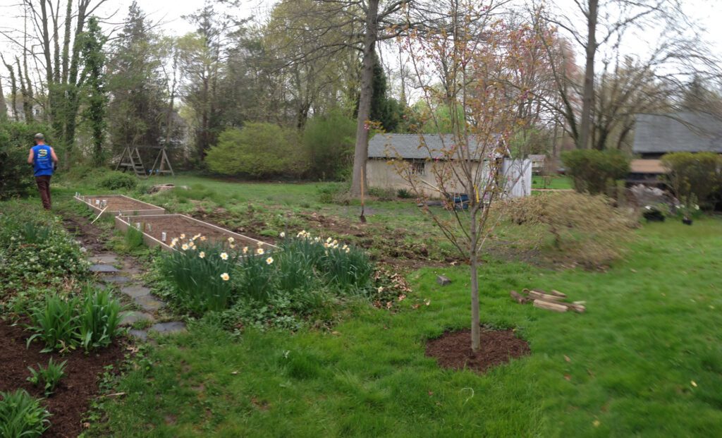 Raised Bed Before
