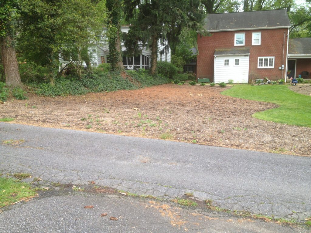 Shrub Installation Before