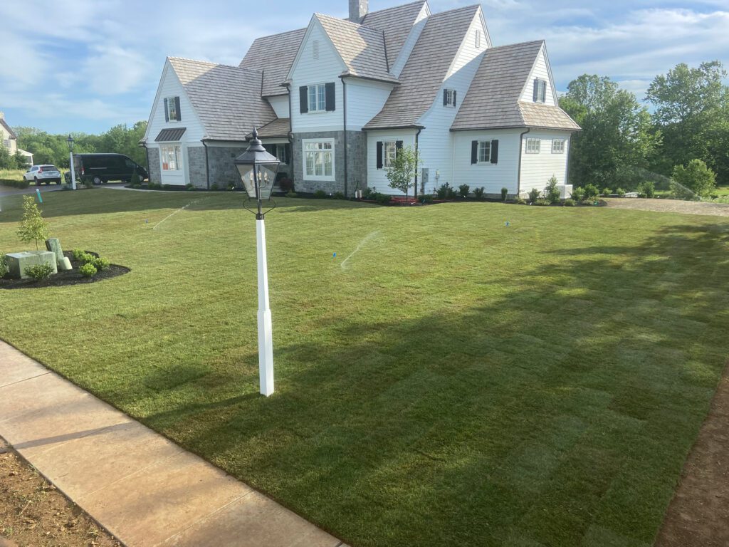 Sod Installation After