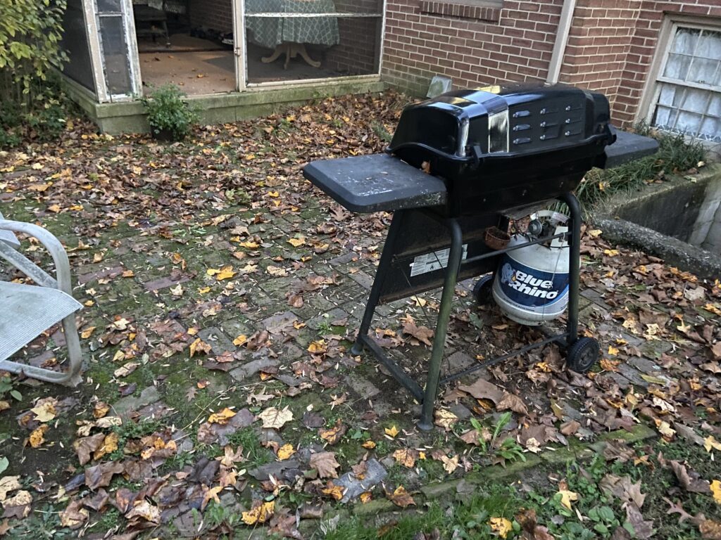 Fire pit and Patio Before